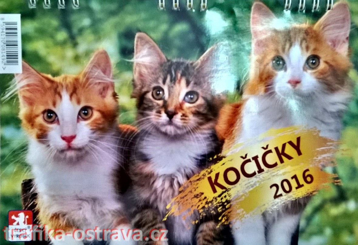 stolní kalendář - kočičky 2016